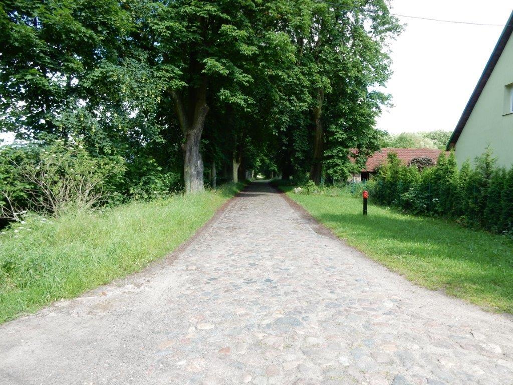 Old access to the Schloss